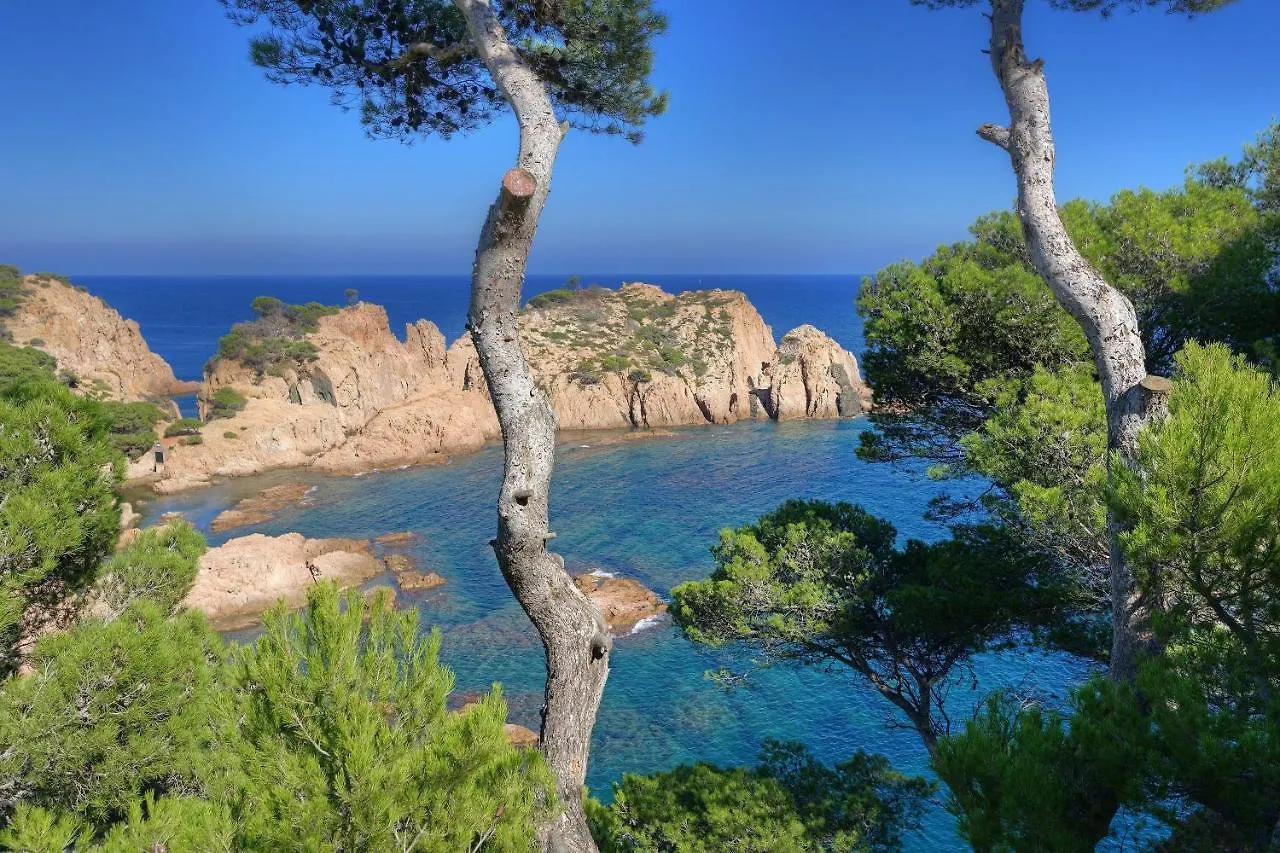 Cala Nostra - Vero Tamariu